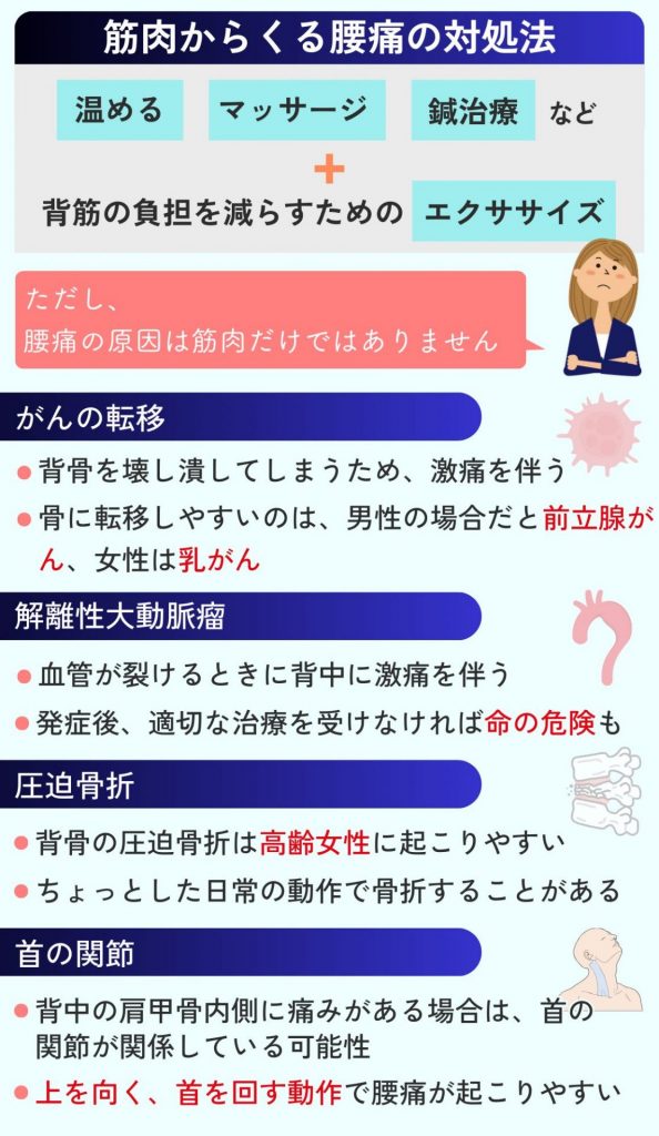 筋肉が原因となる腰痛の対処法