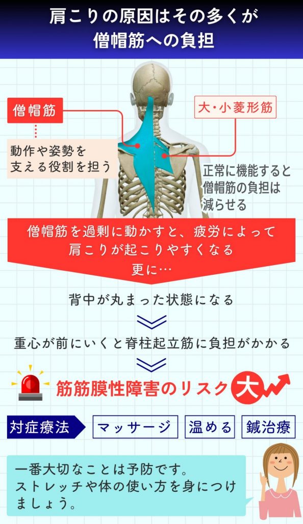 肩こりになる原因、腰痛につながる過程を解説